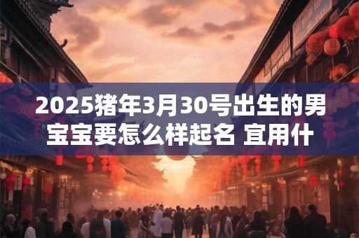2025猪年3月30号出生的男宝宝要怎么样起名 宜用什么字