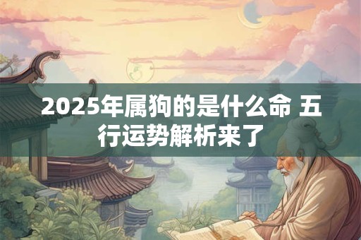 2026年属狗的是什么命 五行运势解析来了