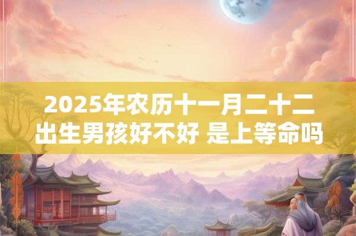 2025年农历十一月二十二出生男孩好不好 是上等命吗