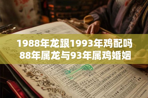 1988年龙跟1993年鸡配吗 88年属龙与93年属鸡婚姻