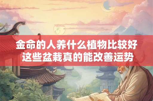 金命的人养什么植物比较好 这些盆栽真的能改善运势吗 金命的人养什么植物比较好 这些盆栽真的能改善运势吗