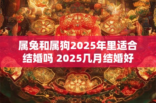 属兔和属狗2025年里适合结婚吗 2025几月结婚好