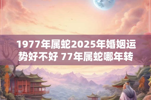 1977年属蛇2025年婚姻运势好不好 77年属蛇哪年转大运