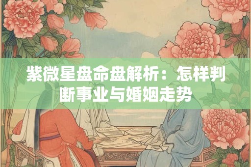 紫微星盘命盘解析：怎样判断事业与婚姻走势