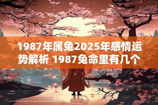 1987年属兔2025年感情运势解析 1987兔命里有几个孩子 1987年属兔2025年感情运势解析 1987兔命里有几个孩子