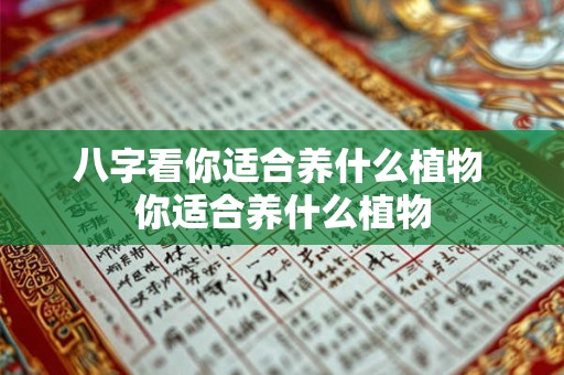 八字看你适合养什么植物 你适合养什么植物