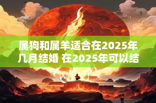 属狗和属羊适合在2025年几月结婚 在2025年可以结婚吗