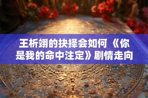 王析翊的抉择会如何 《你是我的命中注定》剧情走向引发猜想