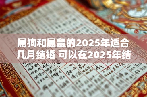 属狗和属鼠的2025年适合几月结婚 可以在2025年结婚吗