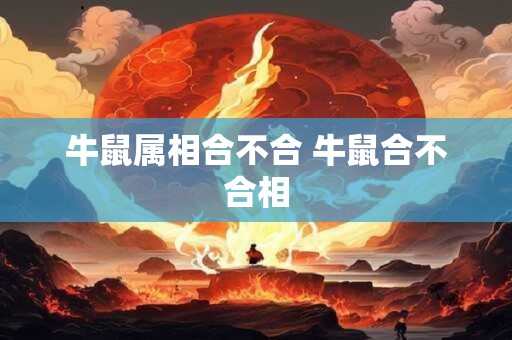 牛鼠属相合不合 牛鼠合不合相