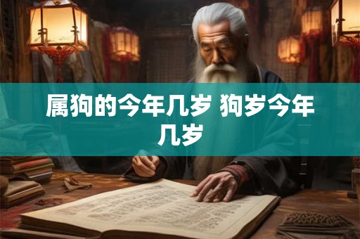 属狗的今年几岁 狗岁今年几岁