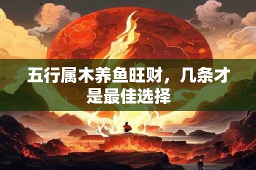 五行属木养鱼旺财，几条才是最佳选择