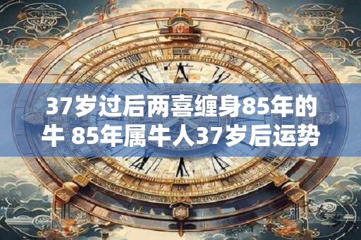 37岁过后两喜缠身85年的牛 85年属牛人37岁后运势