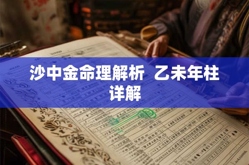 沙中金命理解析  乙未年柱详解
