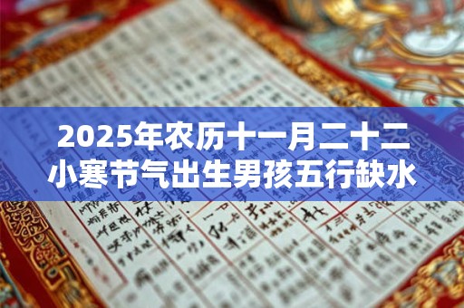 2025年农历十一月二十二小寒节气出生男孩五行缺水取名大全