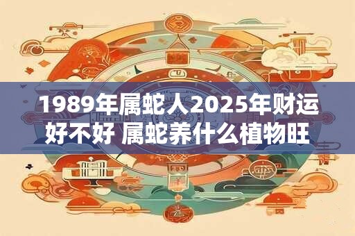 1989年属蛇人2025年财运好不好 属蛇养什么植物旺财