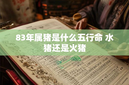 83年属猪是什么五行命 水猪还是火猪