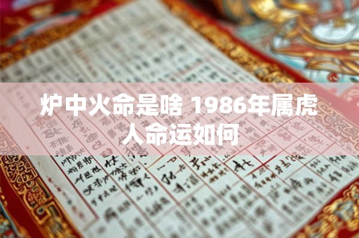 炉中火命是啥 1986年属虎人命运如何
