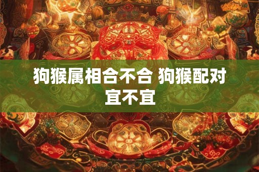 狗猴属相合不合 狗猴配对宜不宜