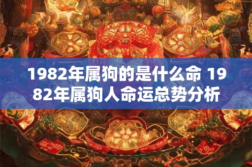 1982年属狗的是什么命 1982年属狗人命运总势分析 1982年属狗的是什么命 1982年属狗人命运总势分析