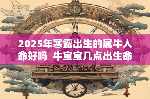2025年寒露出生的属牛人命好吗  牛宝宝几点出生命最好