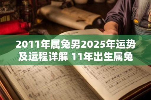 2011年属兔男2025年运势及运程详解 11年出生属兔人2025全年每月运势男性