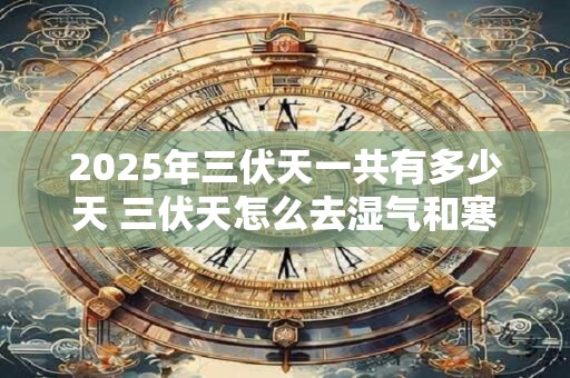 2025年三伏天一共有多少天 三伏天怎么去湿气和寒气