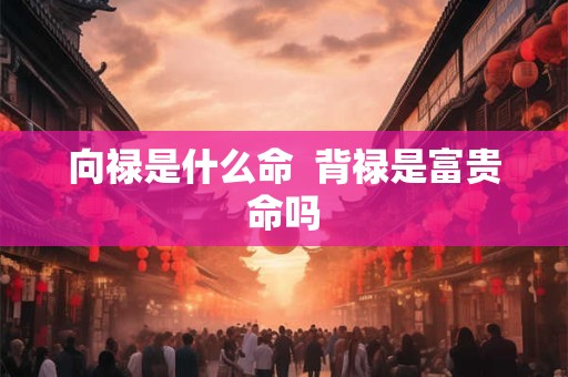 向禄是什么命  背禄是富贵命吗