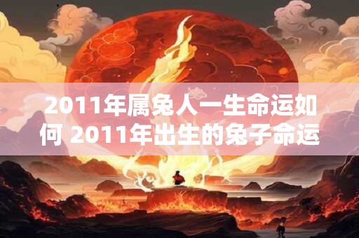 2011年属兔人一生命运如何 2011年出生的兔子命运如何