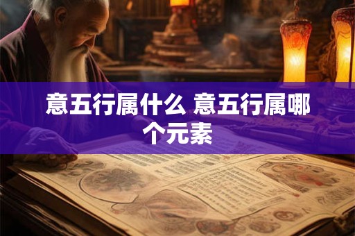 意五行属什么 意五行属哪个元素