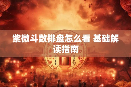 紫微斗数排盘怎么看 基础解读指南
