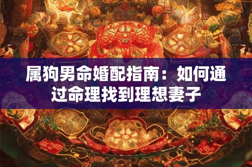 属狗男命婚配指南：如何通过命理找到理想妻子