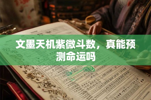 文墨天机紫微斗数，真能预测命运吗