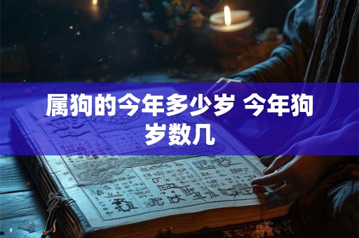 属狗的今年多少岁 今年狗岁数几