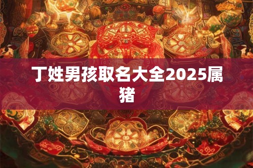 丁姓男孩取名大全2026属猪