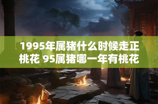 1995年属猪什么时候走正桃花 95属猪哪一年有桃花运