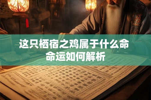 这只栖宿之鸡属于什么命 命运如何解析
