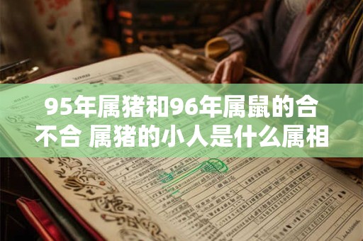 95年属猪和96年属鼠的合不合 属猪的小人是什么属相