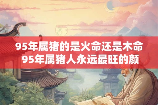 95年属猪的是火命还是木命 95年属猪人永远最旺的颜色