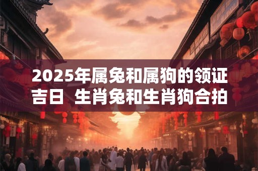 2025年属兔和属狗的领证吉日  生肖兔和生肖狗合拍不