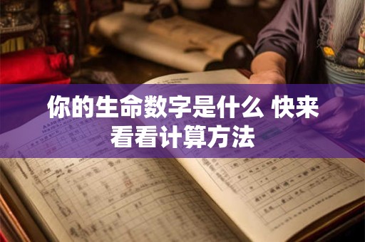 你的生命数字是什么 快来看看计算方法
