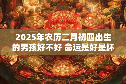 2025年农历二月初四出生的男孩好不好 命运是好是坏