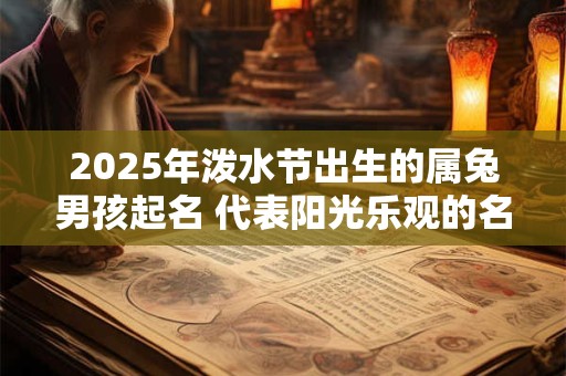 2025年泼水节出生的属兔男孩起名 代表阳光乐观的名字