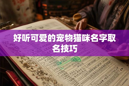 好听可爱的宠物猫咪名字取名技巧