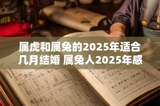 属虎和属兔的2025年适合几月结婚 属兔人2025年感情顺利吗