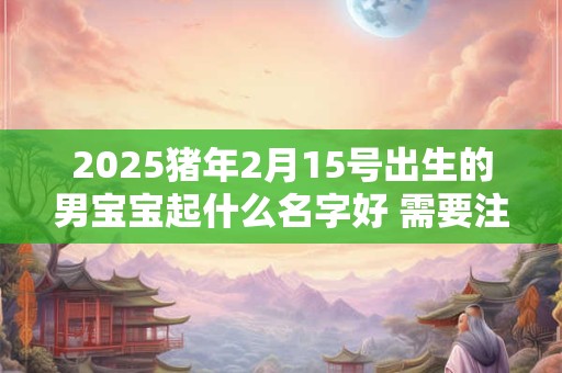 2025猪年2月15号出生的男宝宝起什么名字好 需要注意什么