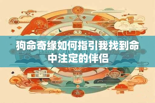 狗命奇缘如何指引我找到命中注定的伴侣