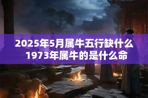 2025年5月属牛五行缺什么  1973年属牛的是什么命