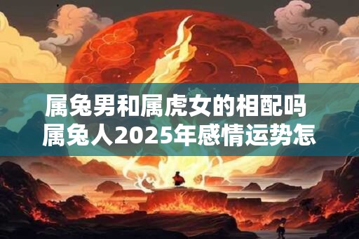 属兔男和属虎女的相配吗 属兔人2025年感情运势怎么样
