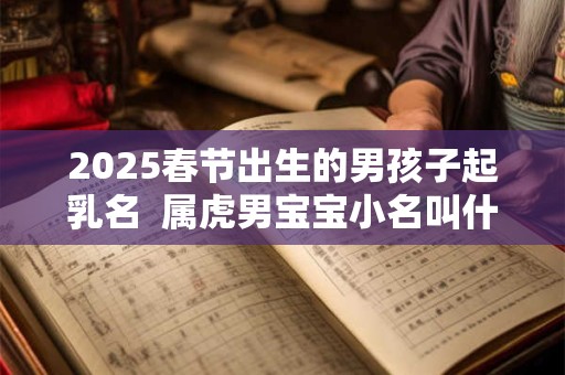 2025春节出生的男孩子起乳名  属虎男宝宝小名叫什么好